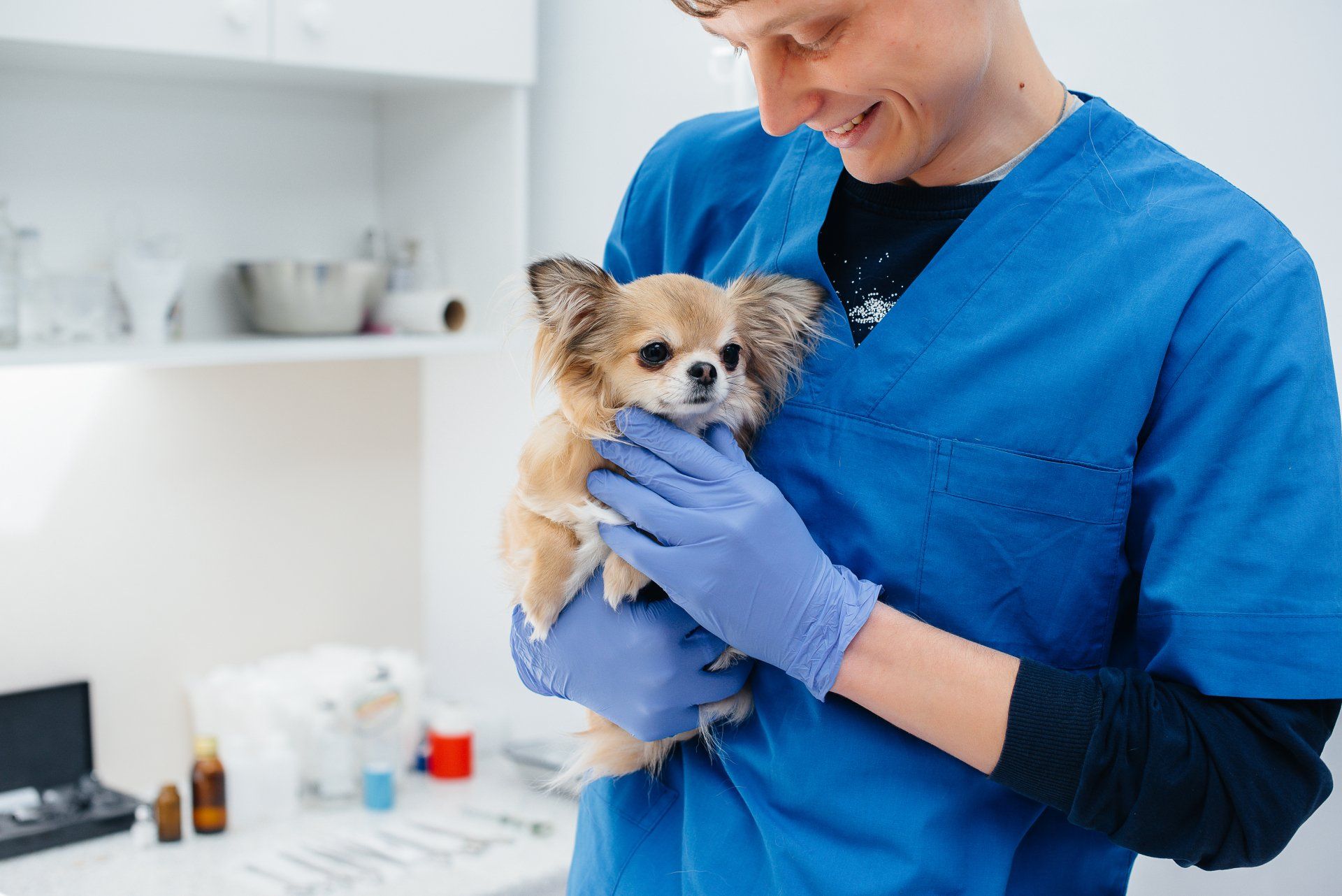 Aardvark Animal Hospital | Garner NC | 919-359-3595