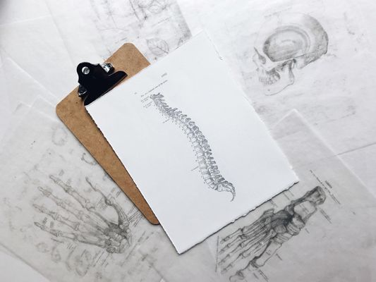 Clipboard with spinal column diagram, anatomical drawings background.