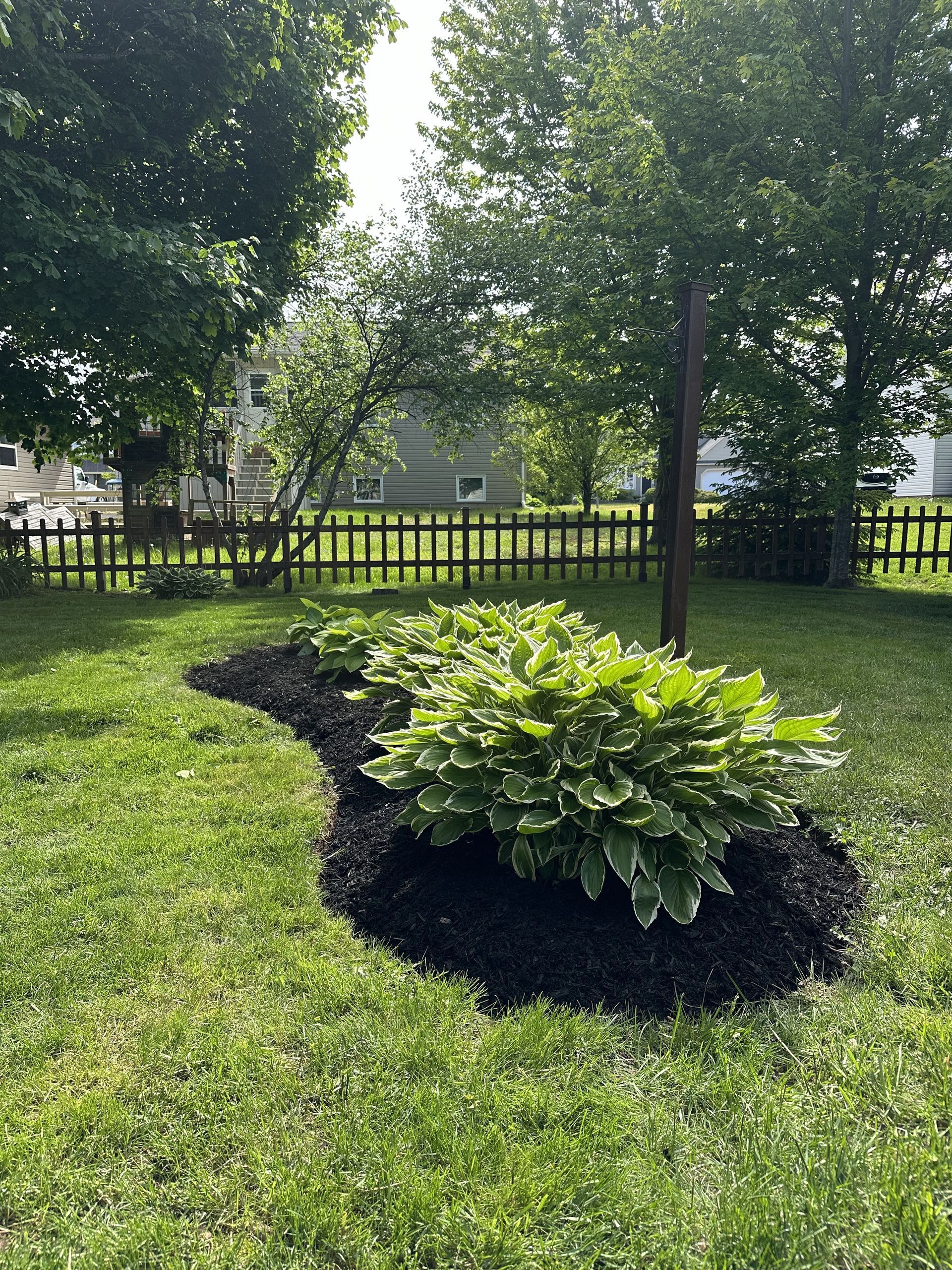 A lush green lawn with a fence in the background