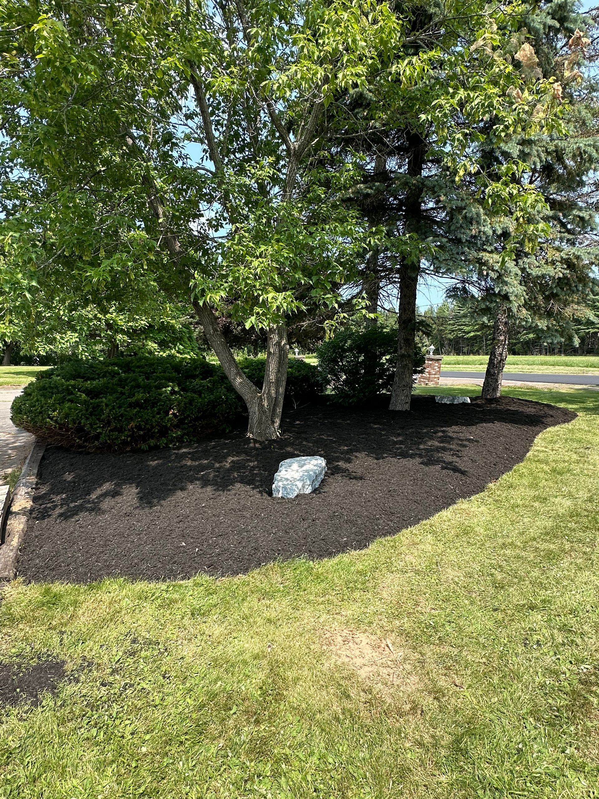 A large rock is sitting in the middle of a lush green lawn next to a tree.