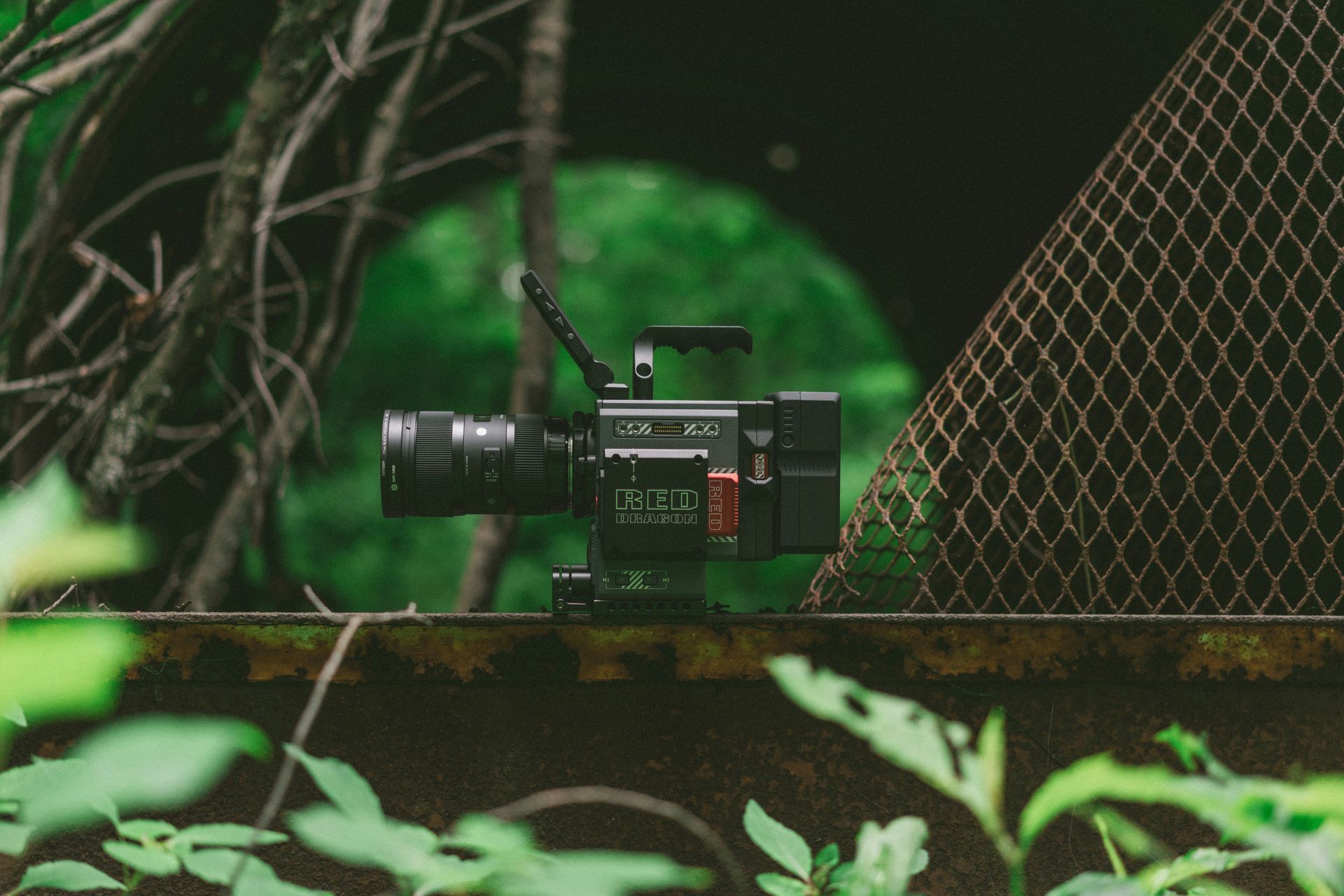 RED cinema camera sitting in forest