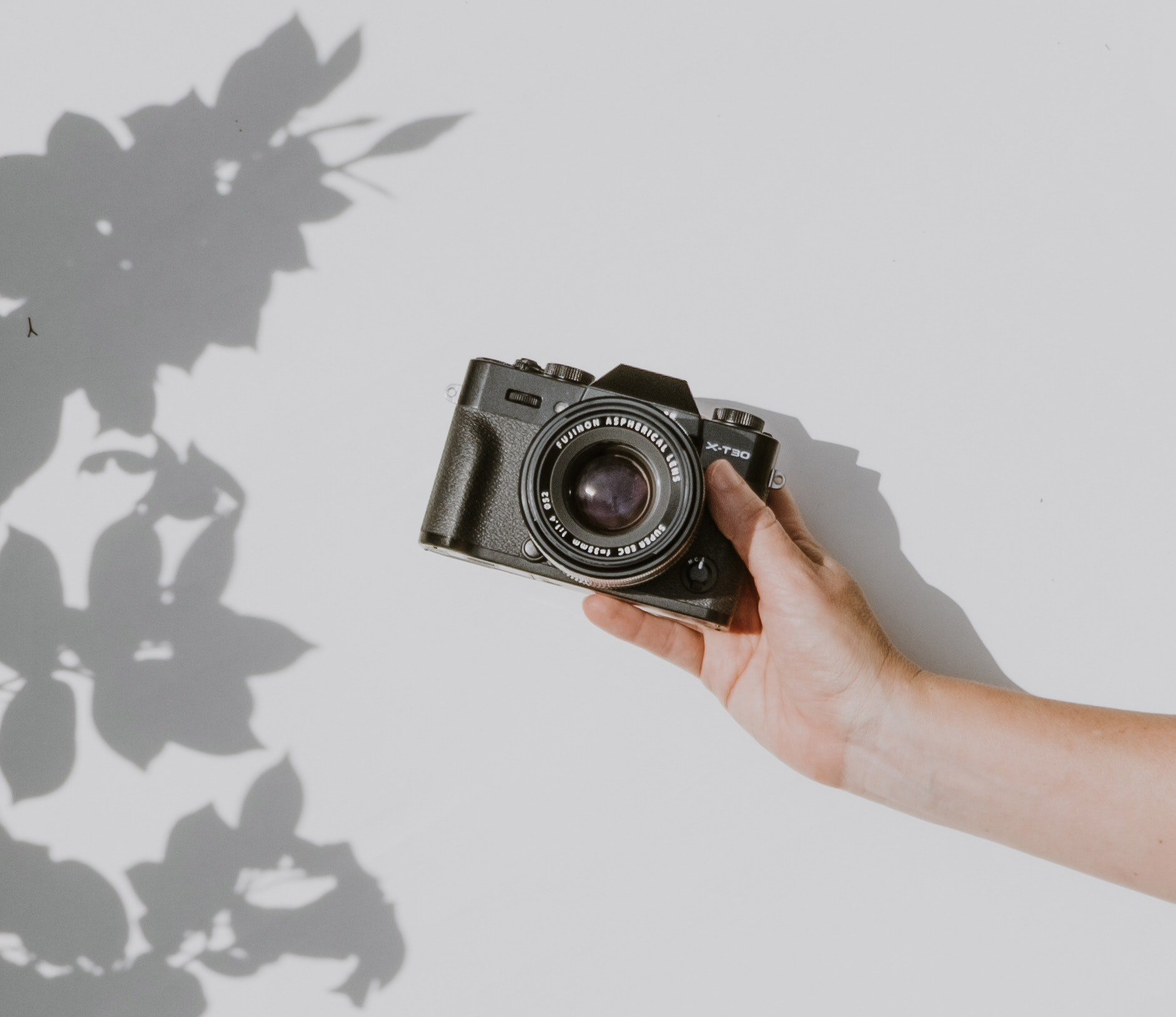 close up hand holding a digital camera in front of a white wall with a shadow of tree leaves