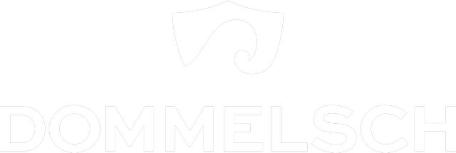 Een wit logo met een schild op een witte achtergrond.