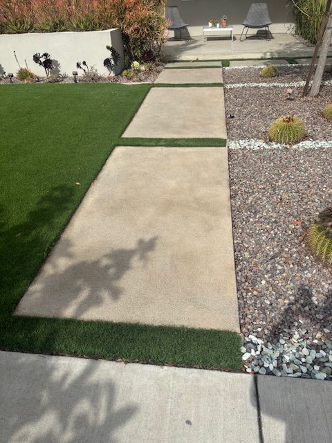 A shadow of a tree is cast on a concrete walkway