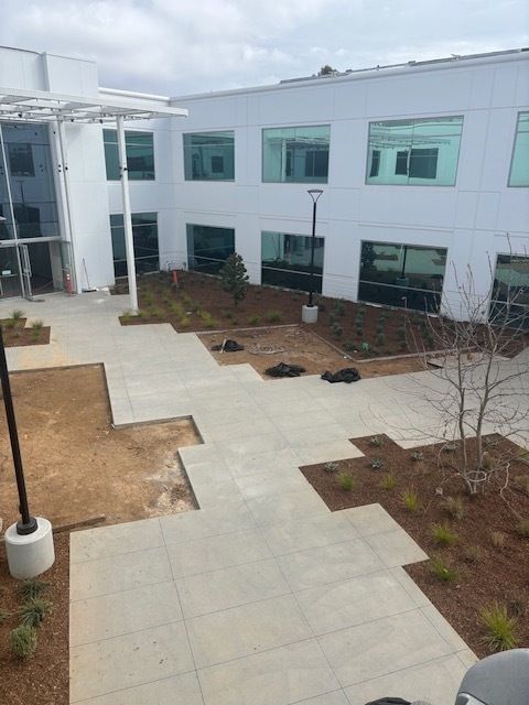 A large white building with a courtyard in front of it