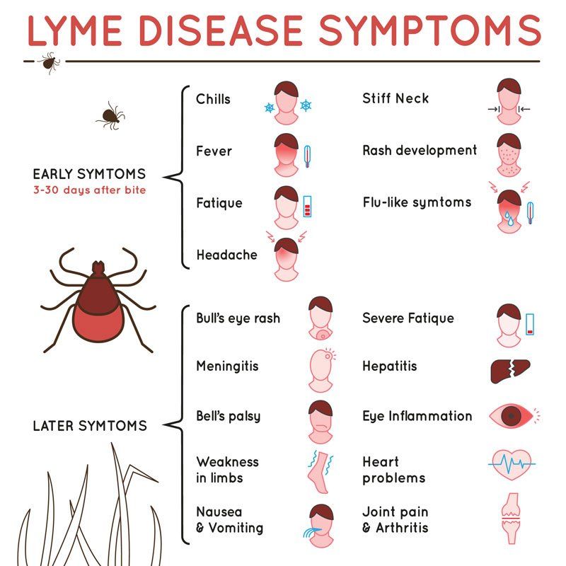 Patient Testimonial for Natural Remedies for Lyme Disease by Board-Certified Nutritional Specialist via Telehealth and from Forest Hills NY 11375