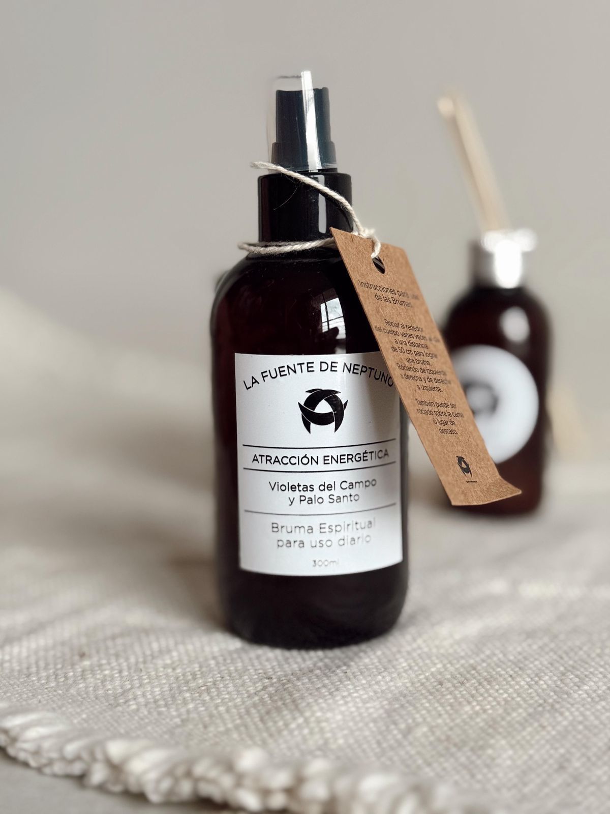 La Fuente de Neptuno