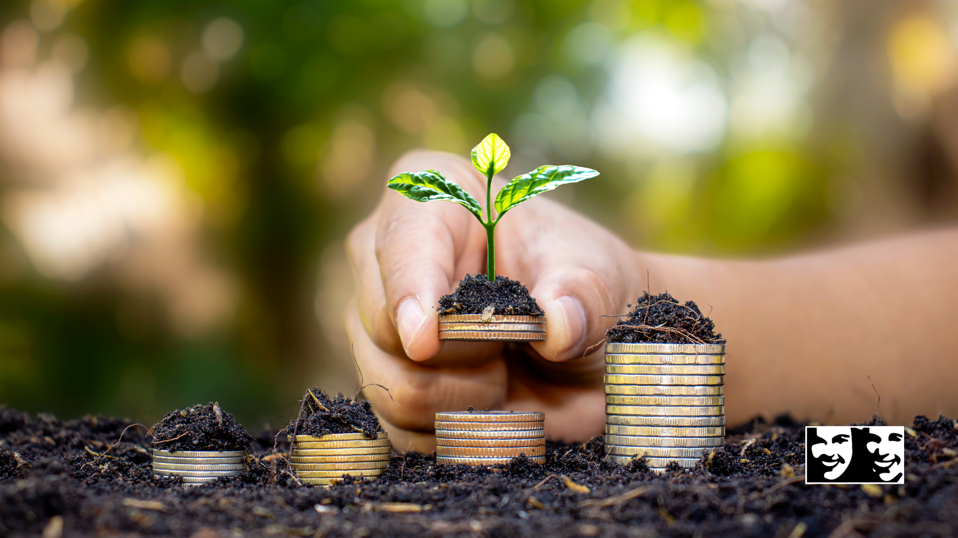 A person is holding a small plant growing out of a pile of coins.