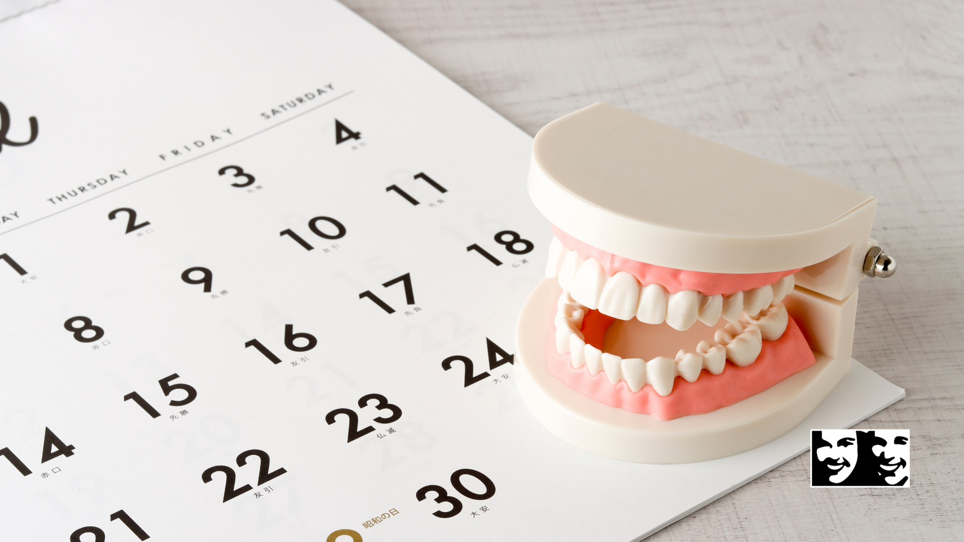 A model of teeth next to a calendar, showing days 1, 2, 3, 4, 8, 9, 10, 11, 14, 15, 16, 17, 18, 21, 22, 23, 24, and 30.