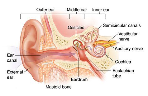 Inner ear clearance tinnitus