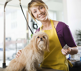 All Dogs Go to Bev provides dog grooming for the community of Las Vegas NV