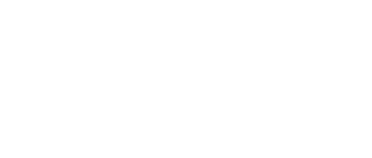 Steve's Cycles Logo
