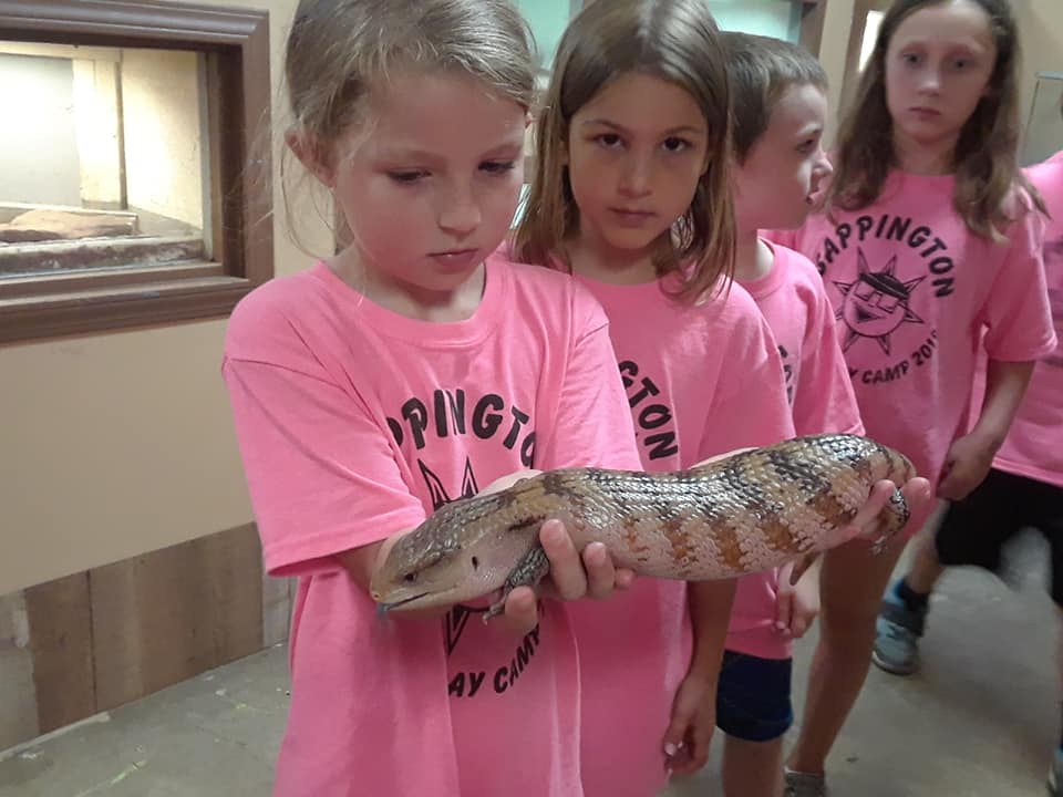 Girl Holding a Lizard — St. Louis, MO — Sappington Child Care Center & Summer Day Camp
