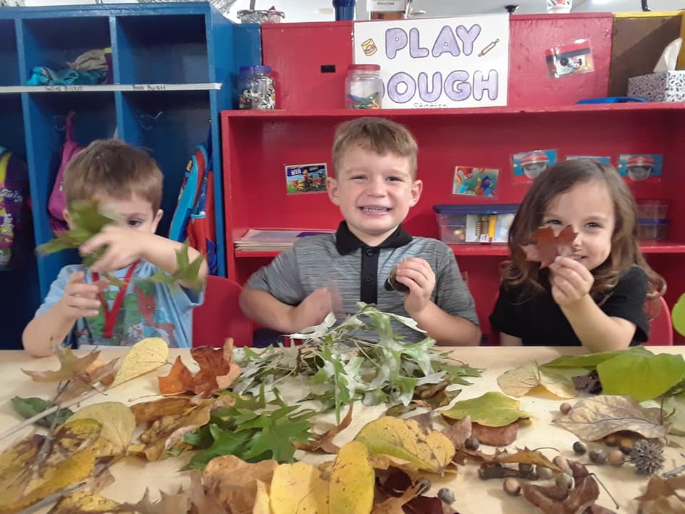 Kids Having Fun With Leaves — St. Louis, MO — Sappington Child Care Center & Summer Day Camp