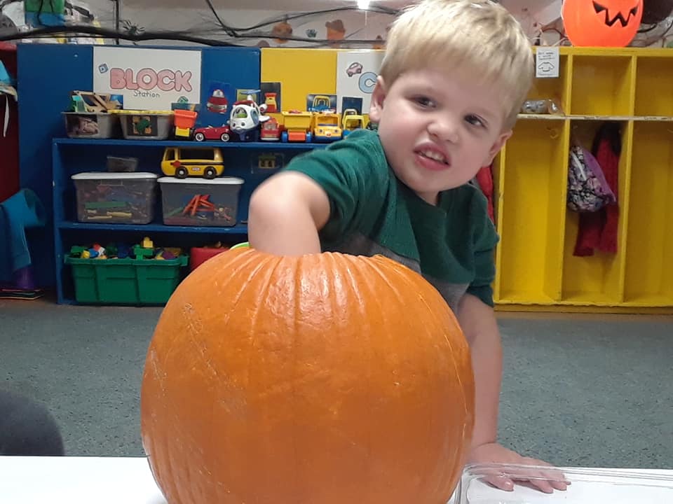 Boy Removing The Seeds of The Pumpkin — St. Louis, MO — Sappington Child Care Center & Summer Day Camp