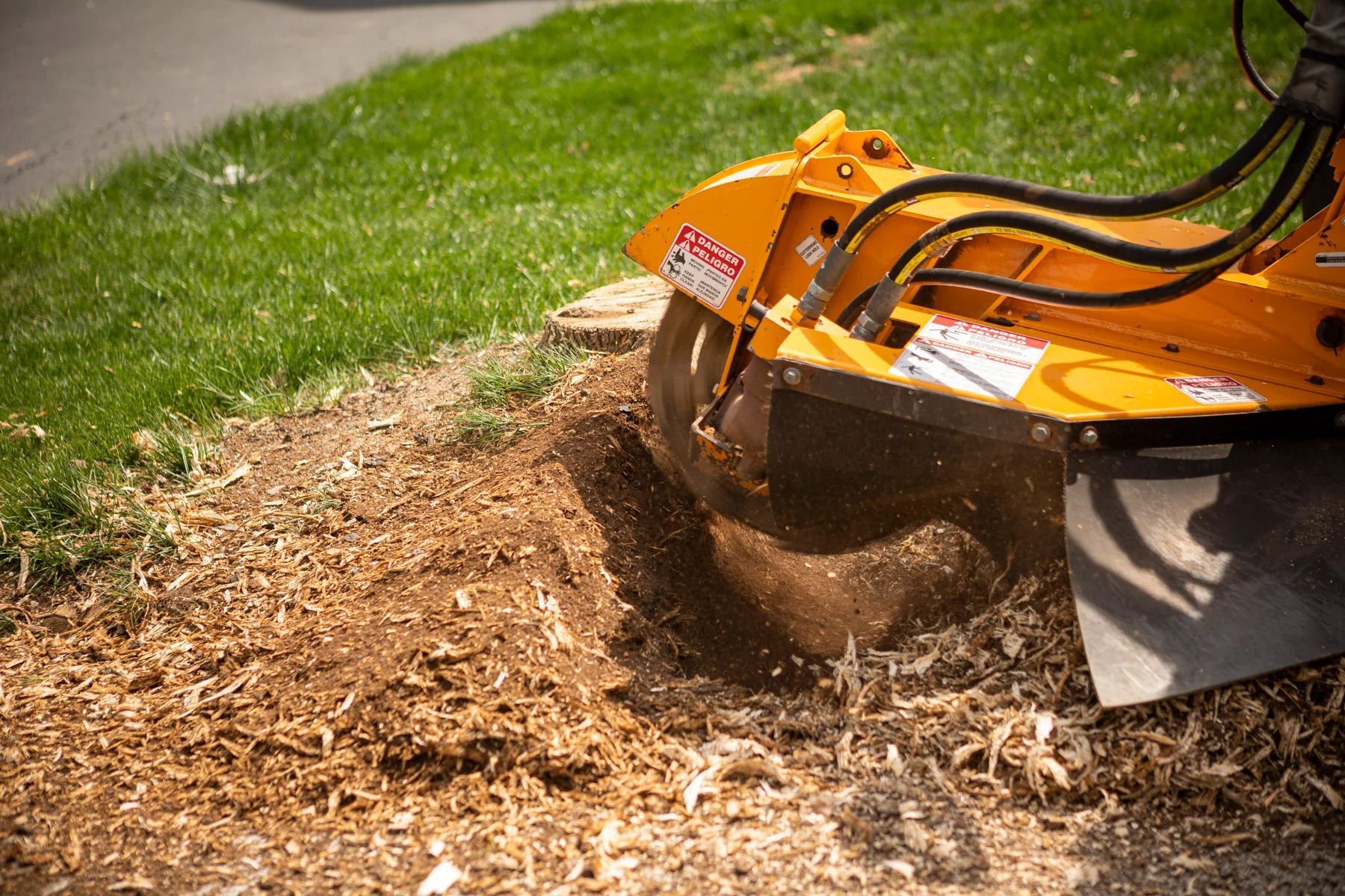 Stump grinder grinding a tree stump, creating wood chips on a grassy lawn.