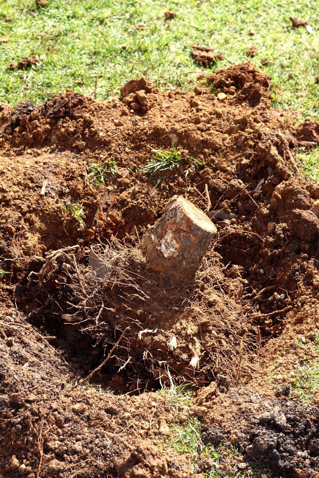 A tree stump is sitting in the middle of a pile of dirt.