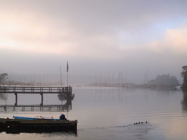 deer harbor on a foggy morning