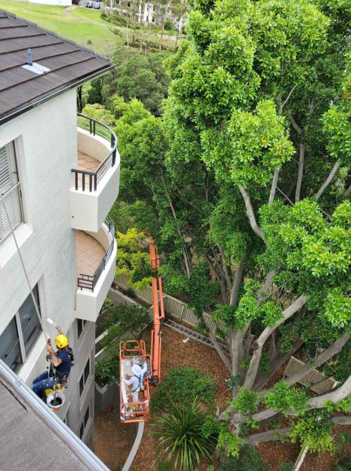 worker painting the house
