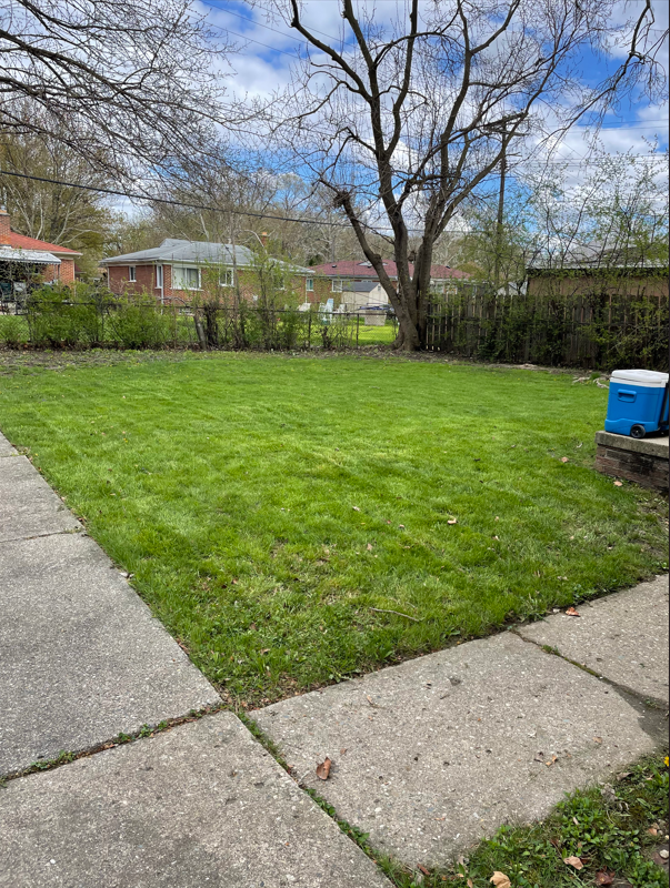 Lush Green Yard