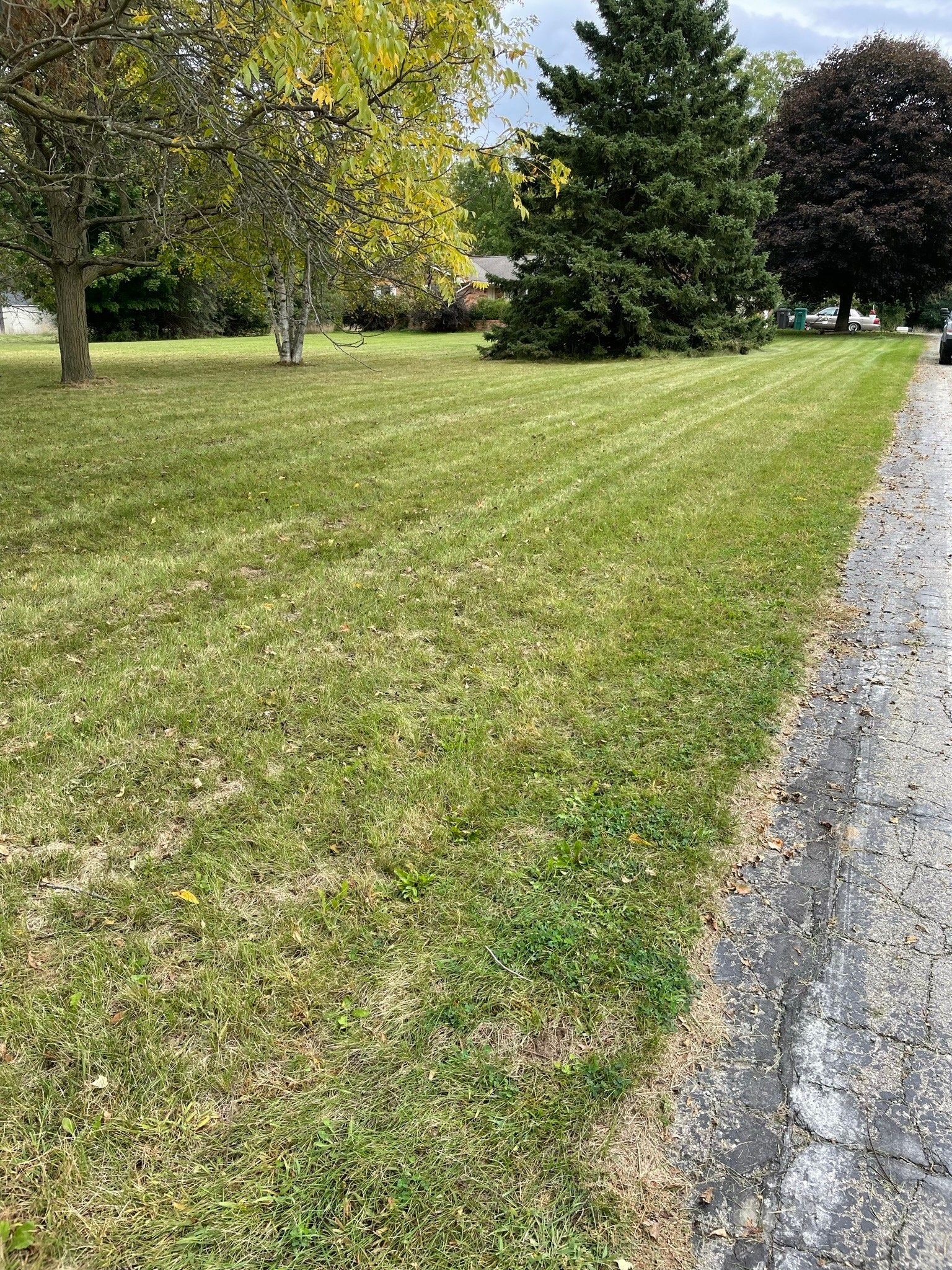 A lush green lawn next to a gravel road and trees.