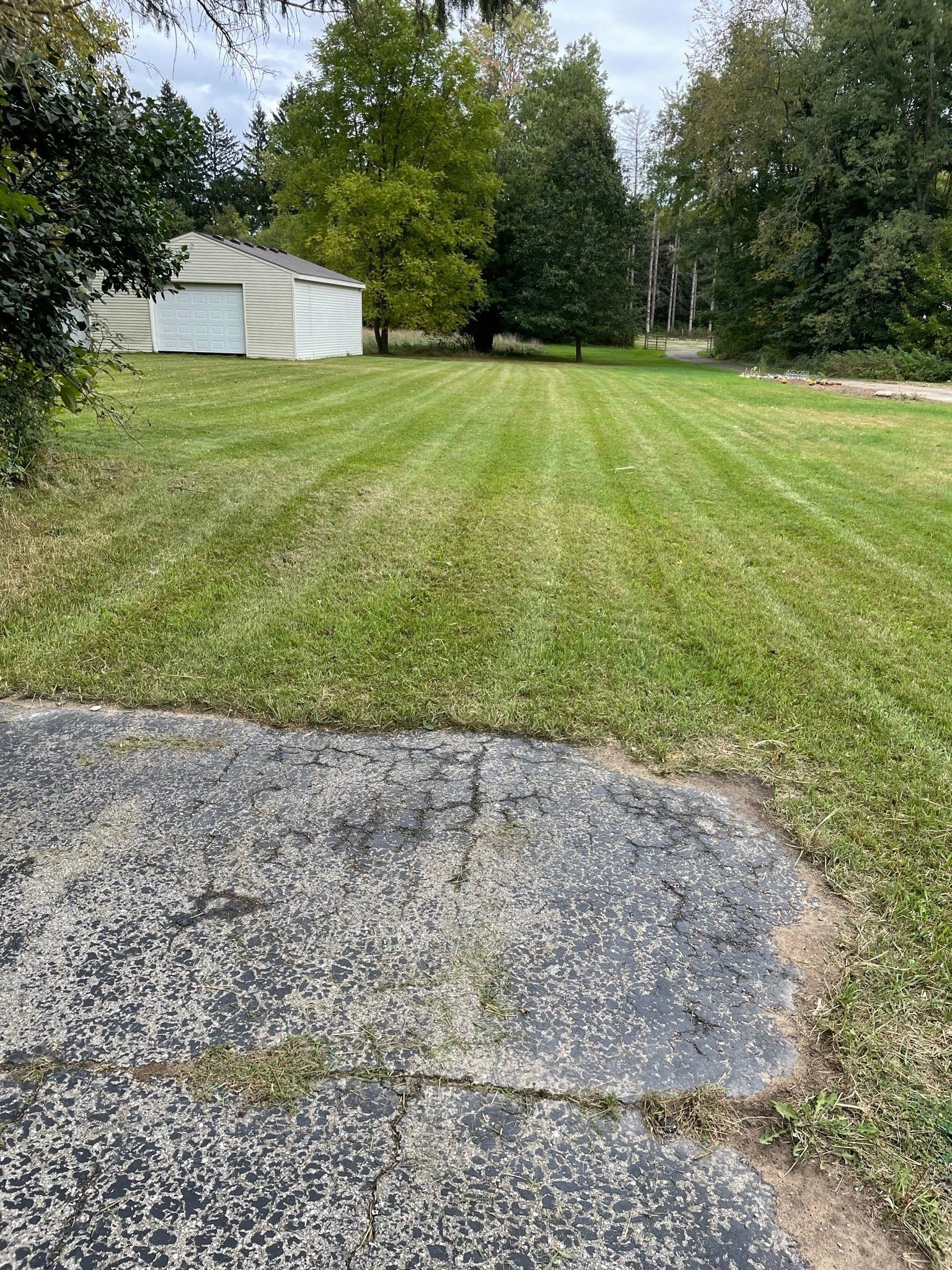 A lush green field with a concrete driveway in the foreground and a garage in the background.