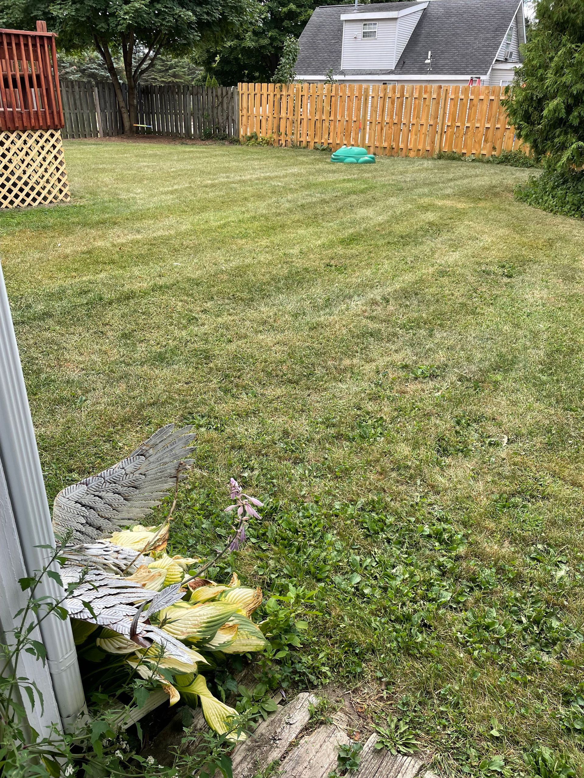 A lush green yard with a wooden fence and a house in the background.