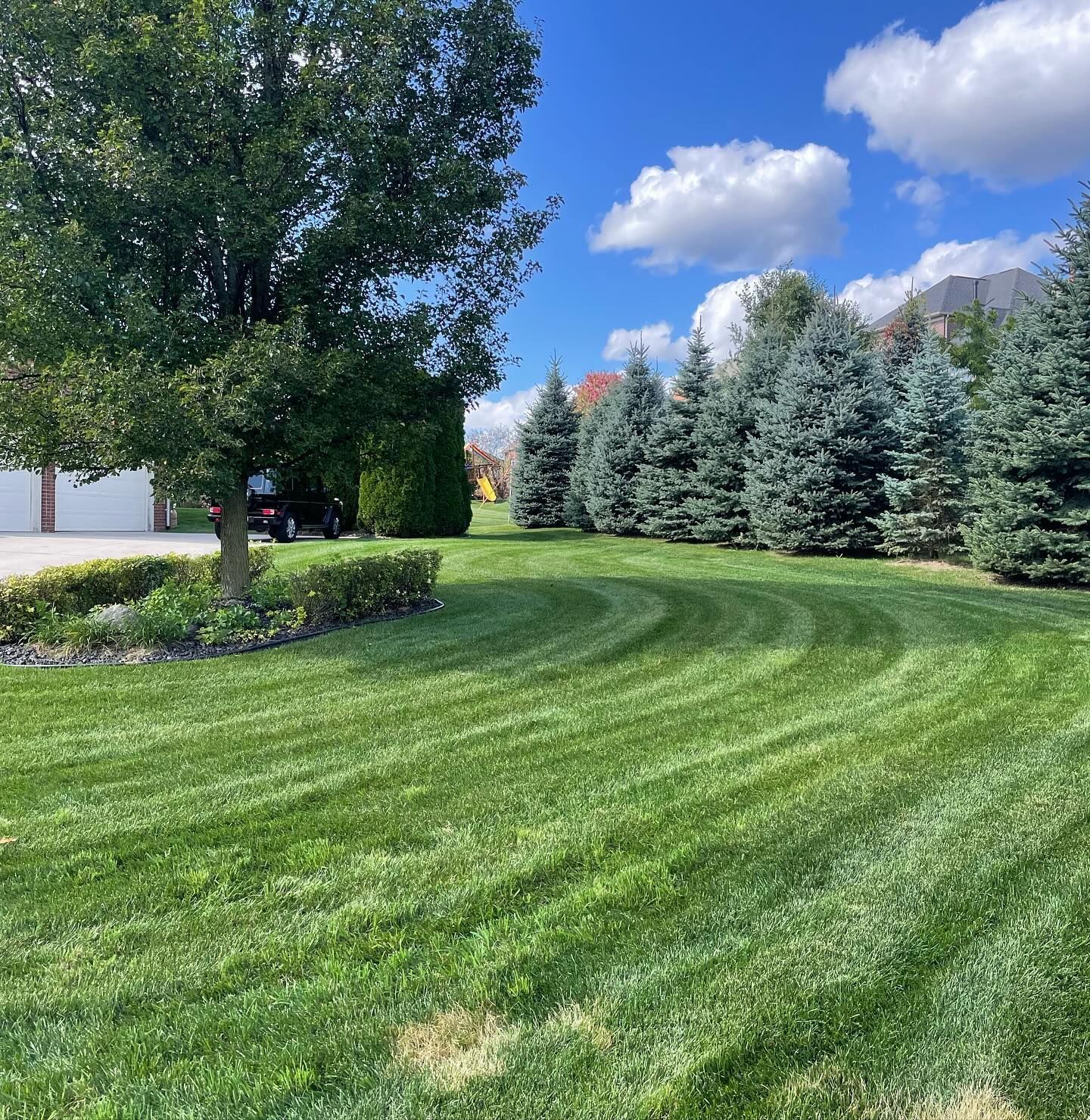 Lush Green Lawn With Trees