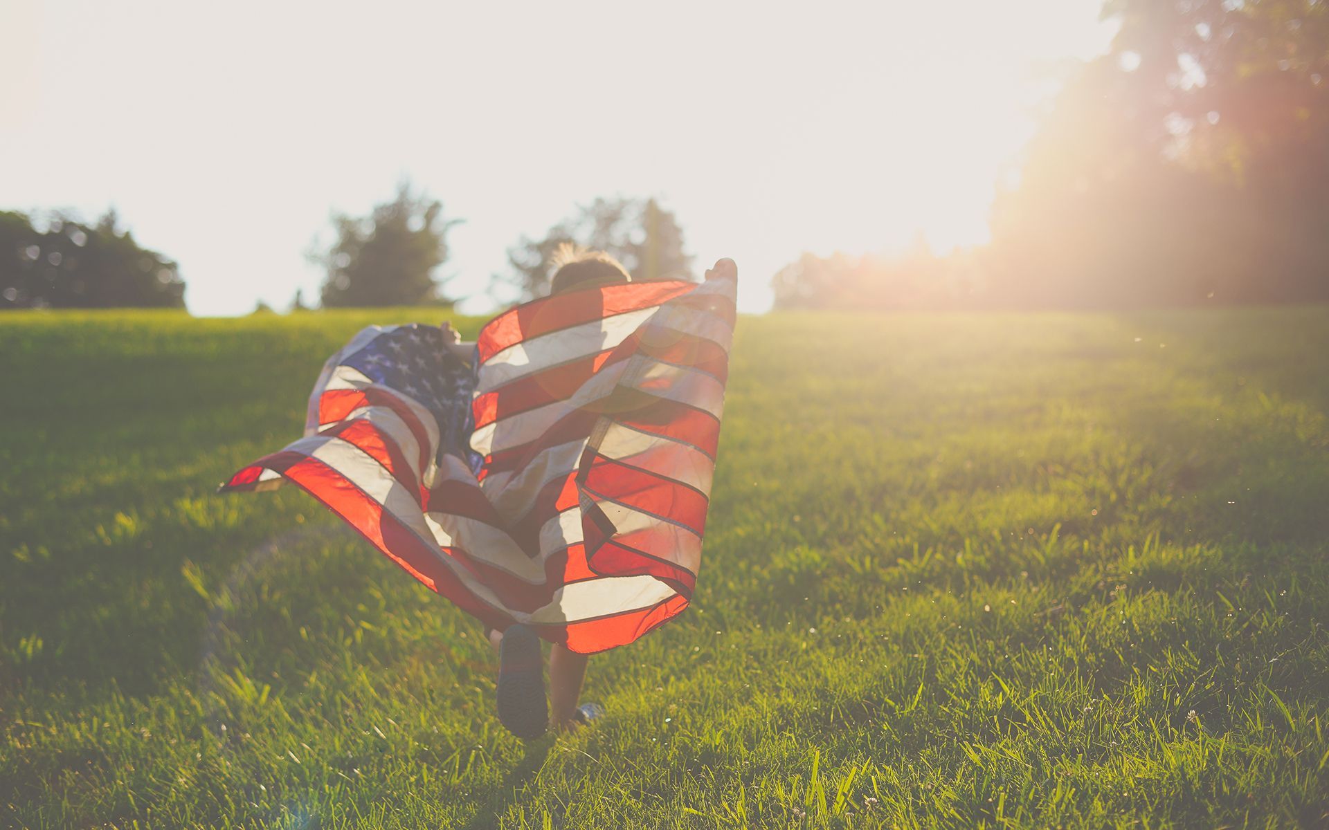 A person is holding an american flag in a field.