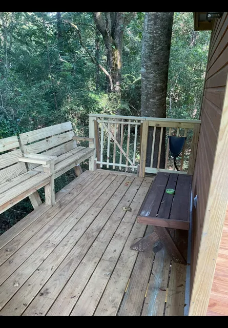 Wooden deck with bench and railing beside dense forest trees