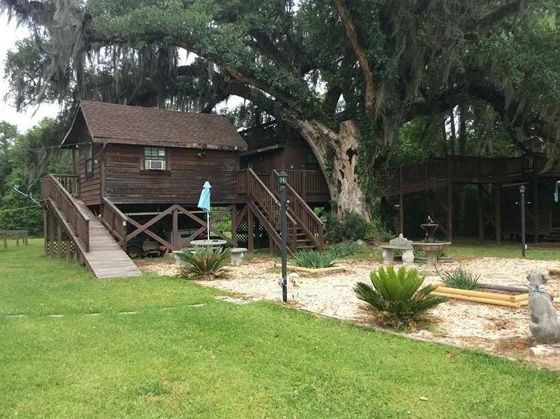 Wooden cabin with stairs under large trees, set in a grassy yard with a gravel patio and umbrella.