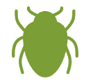 A green bug icon on a white background.