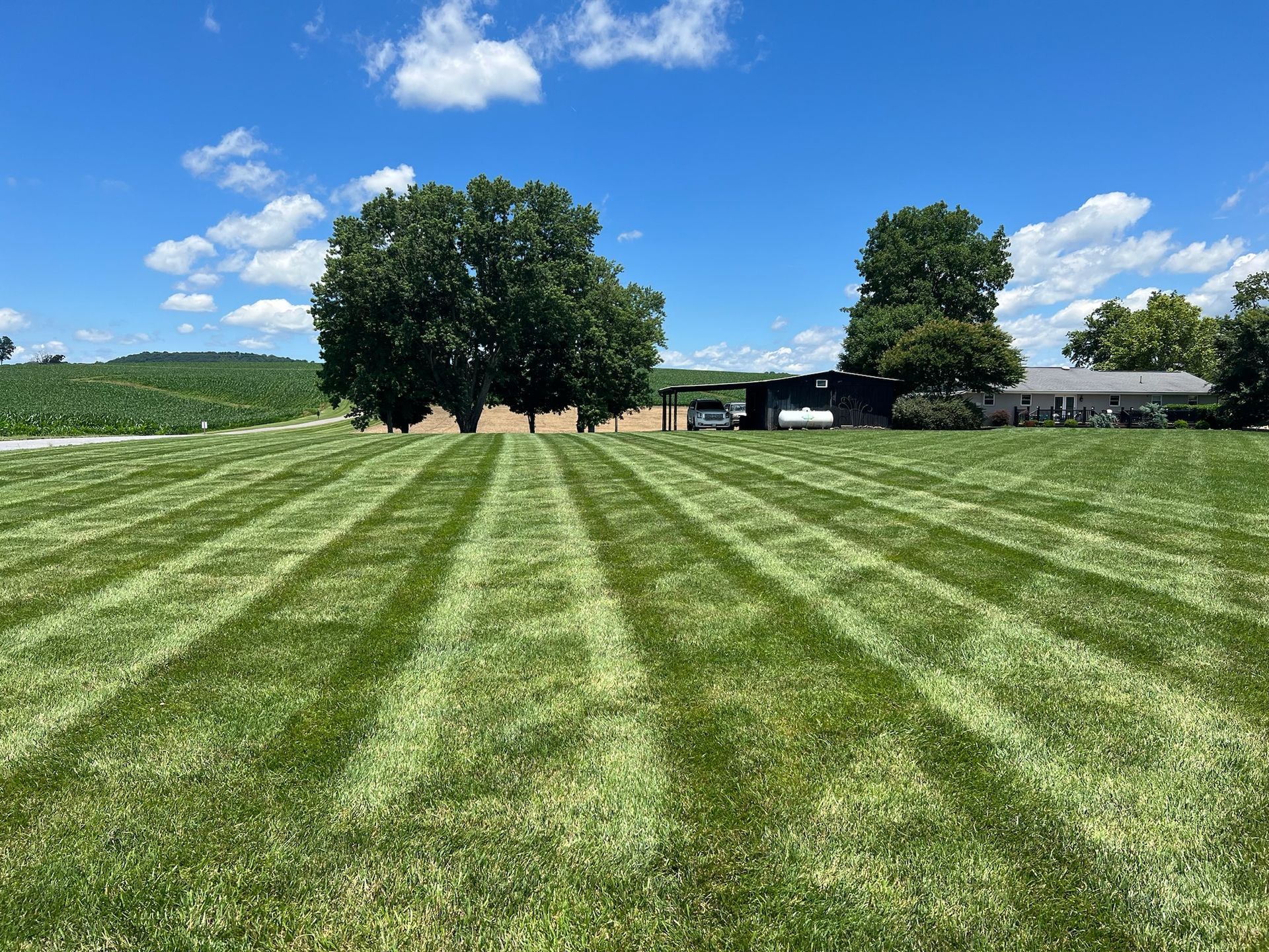 A lush green field of grass with a house in the background on a sunny day.