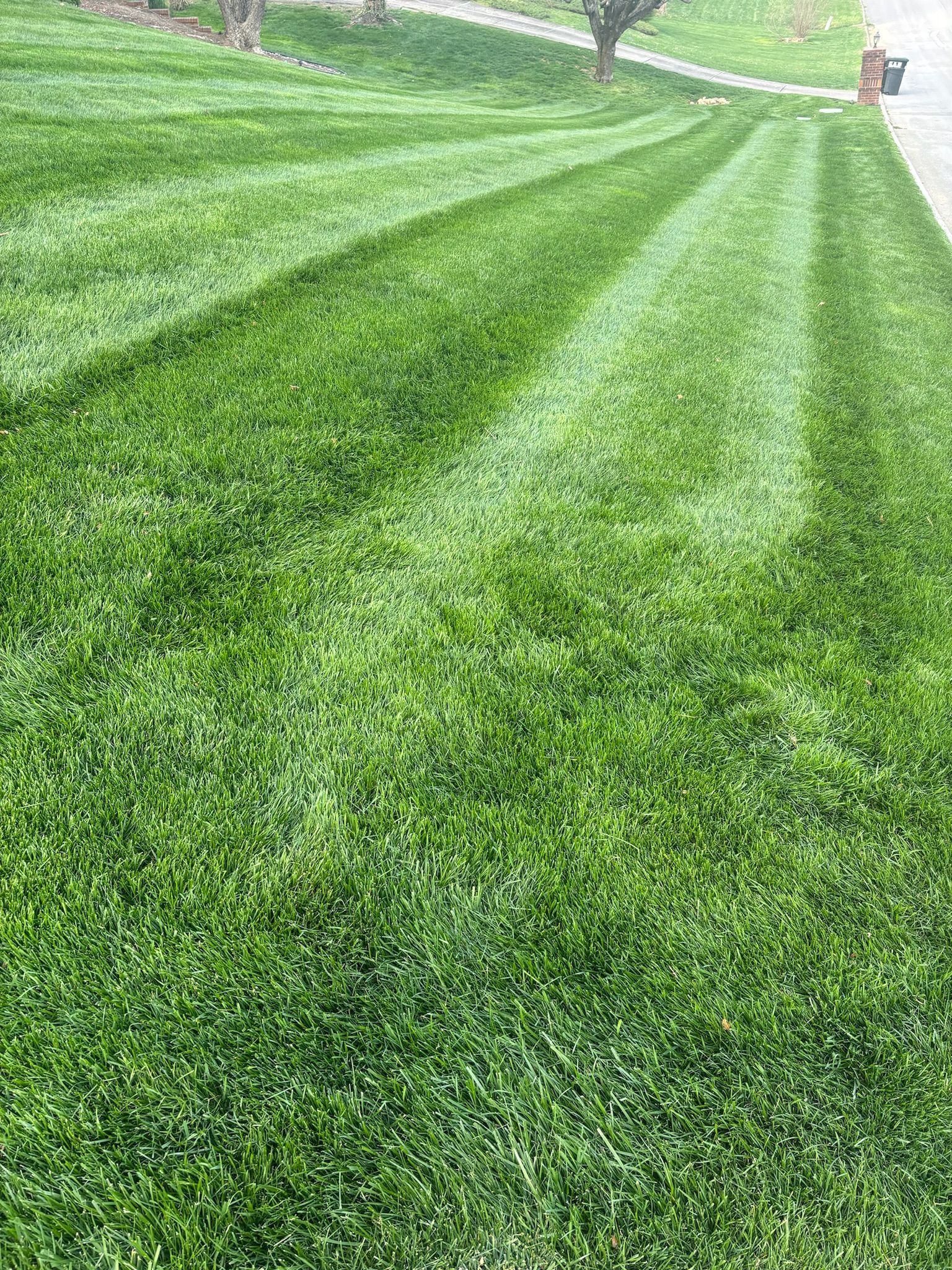 A close up of a lush green lawn with a striped pattern.