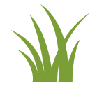 A silhouette of a green grass plant on a white background.