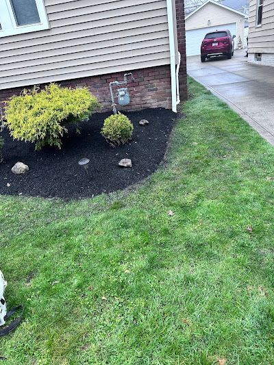 A dog is standing in front of a house with a car parked in the driveway.