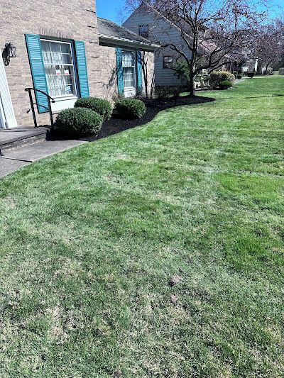 A lush green lawn in front of a house with blue shutters.