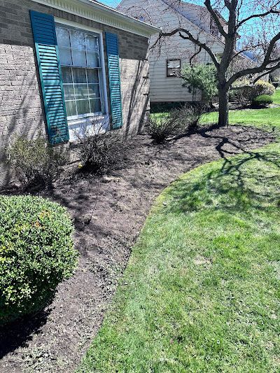 A brick house with blue shutters and a lush green lawn in front of it.