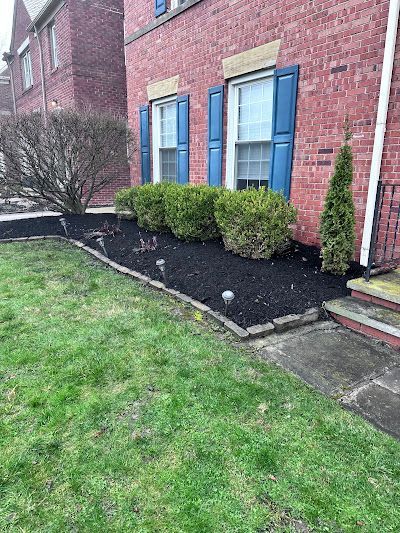 A brick house with blue shutters and black mulch in front of it.