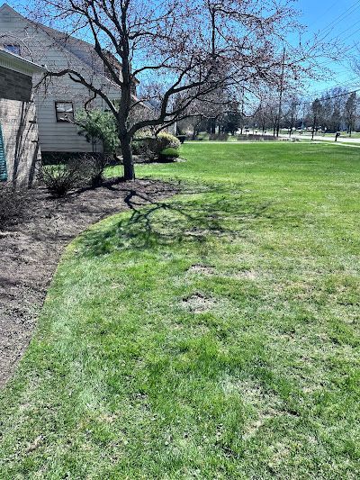 A lush green field with a house in the background and a tree in the foreground.