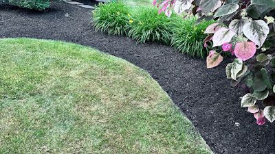 A lush green lawn with black mulch and flowers in a garden.