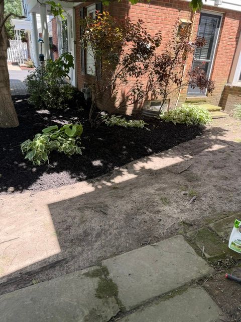 Front yard with mulch beds, shrubs, and a brick house beside a concrete walkway.