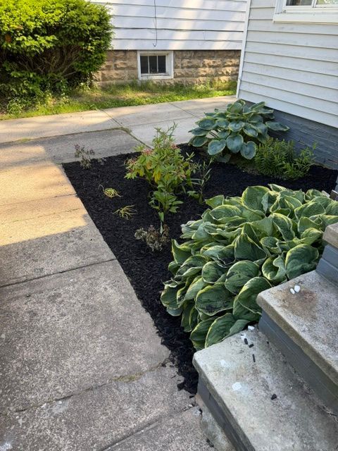Front walkway beside a house with stone mulch beds and large green hostas by concrete steps