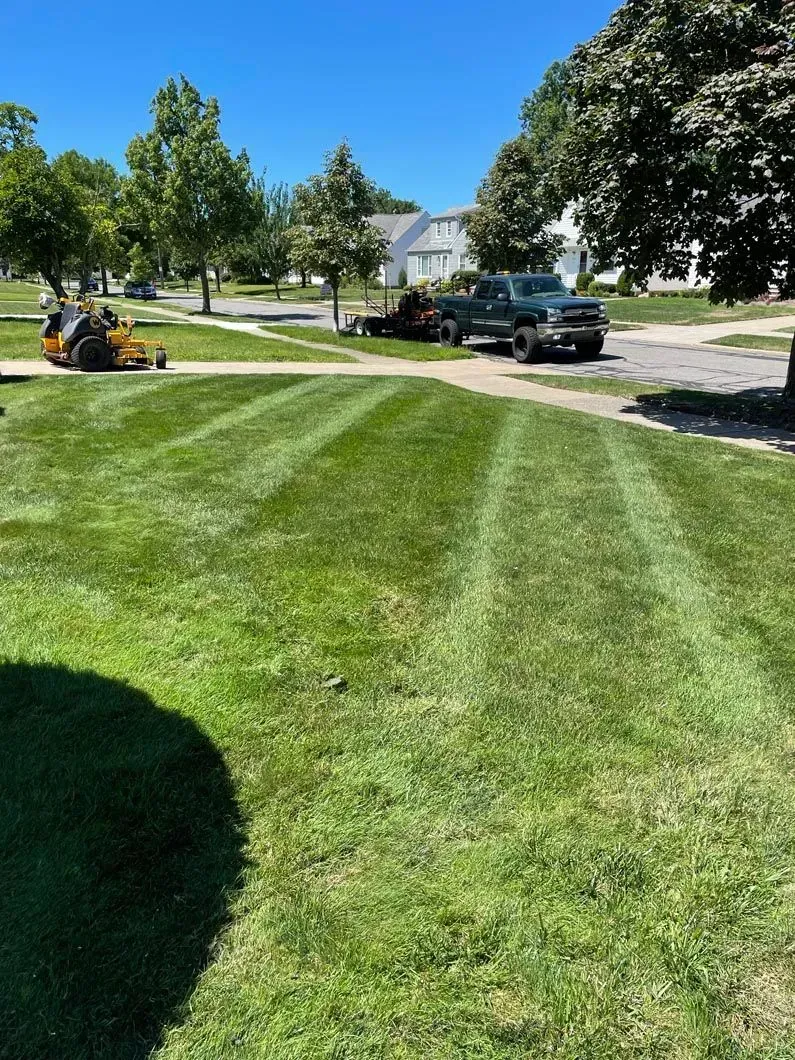 A lawn mower is cutting a lush green lawn.
