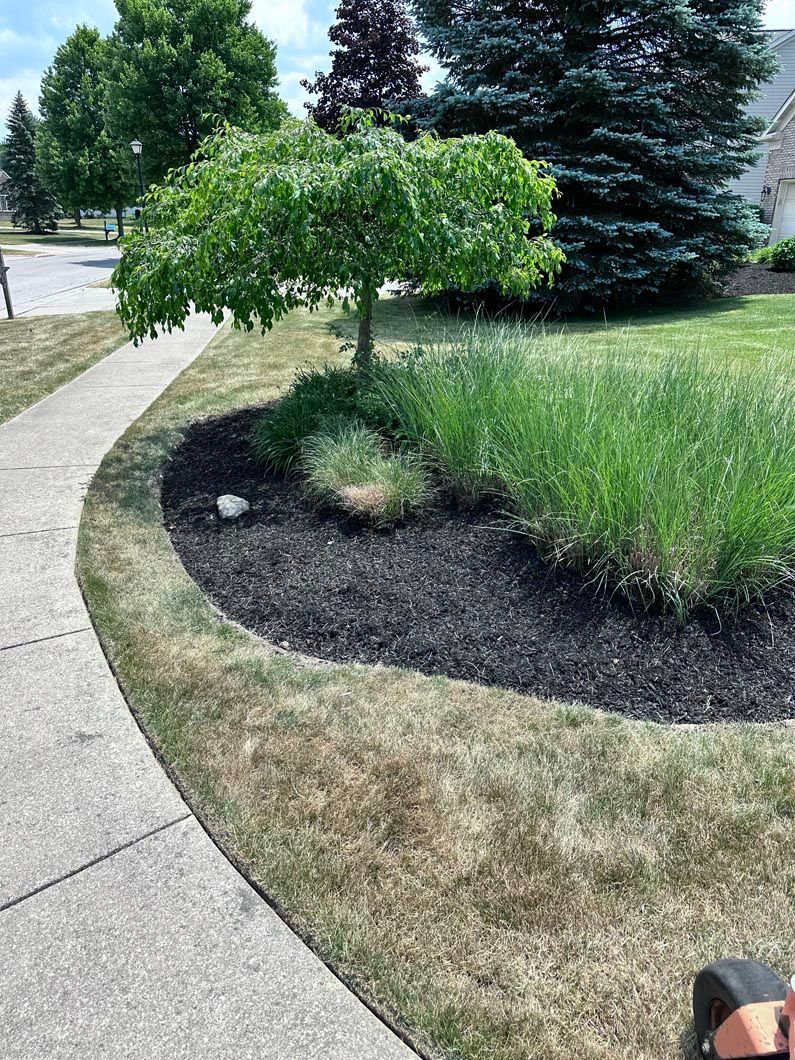 A person is cutting grass in a yard with a lawn mower.