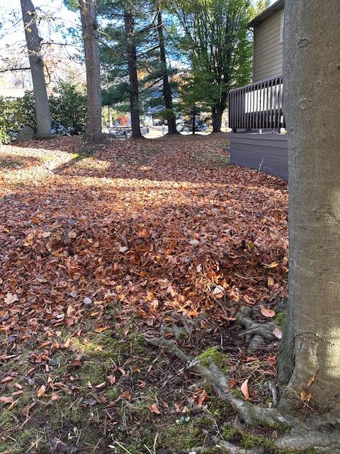Pile of brown autumn leaves in a yard, near a wooden deck and trees.