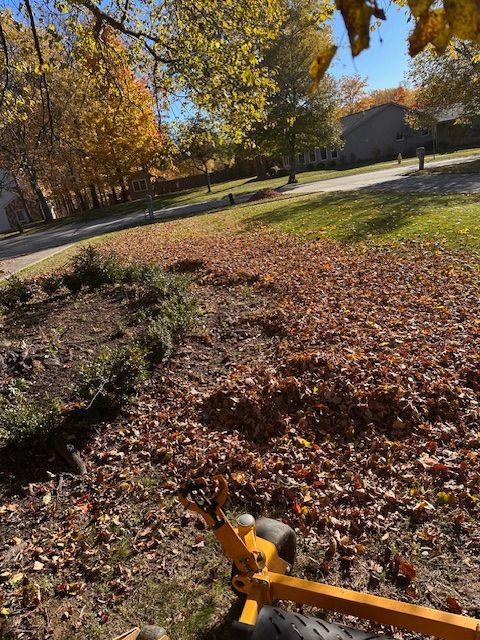Yard filled with autumn leaves; yellow machinery raking. Sunny day, trees in background.