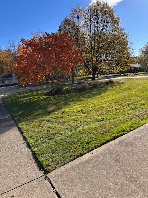 Lawn with two trees in fall colors, one orange, one yellow-green; on a sunny day.