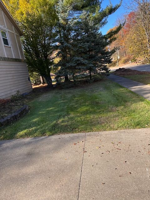 Lawn next to a house and driveway, trees in the background. Autumn leaves, sunny day.