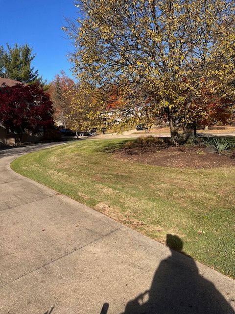 Curving driveway with lawn, colorful trees in fall foliage, sunny blue sky.